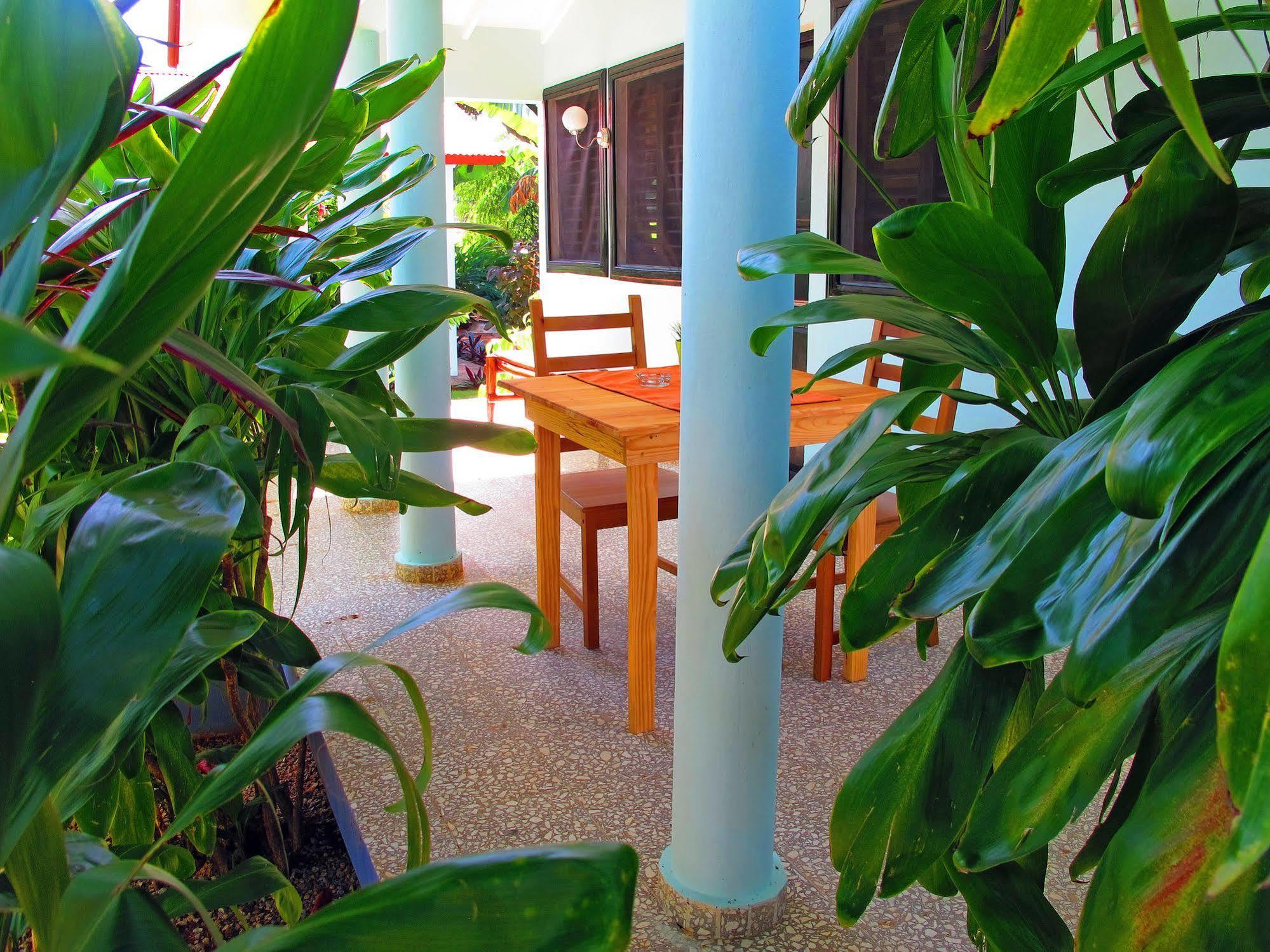 Bungalows Of Las Galeras Exterior photo
